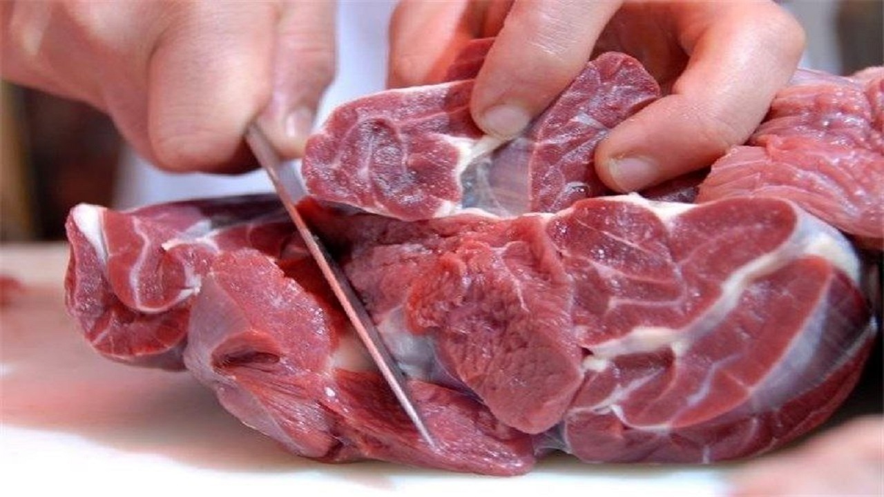 ۲۳۰ تن گوشت قرمز منجمد در اردبیل توزیع شده است