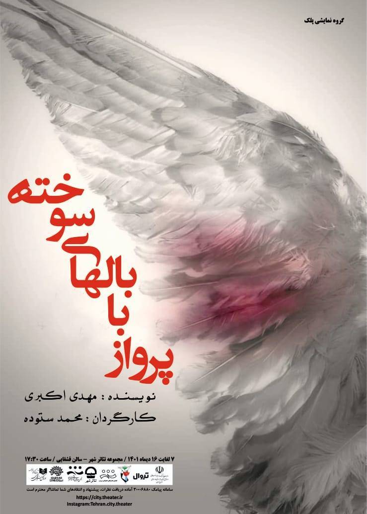 پرواز با بالهای سوخته