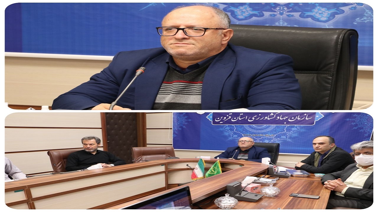 بیش از ۵ هزار هکتار از کشت‌های قراردادی استان قزوین زیر چتر حمایتی بیمه