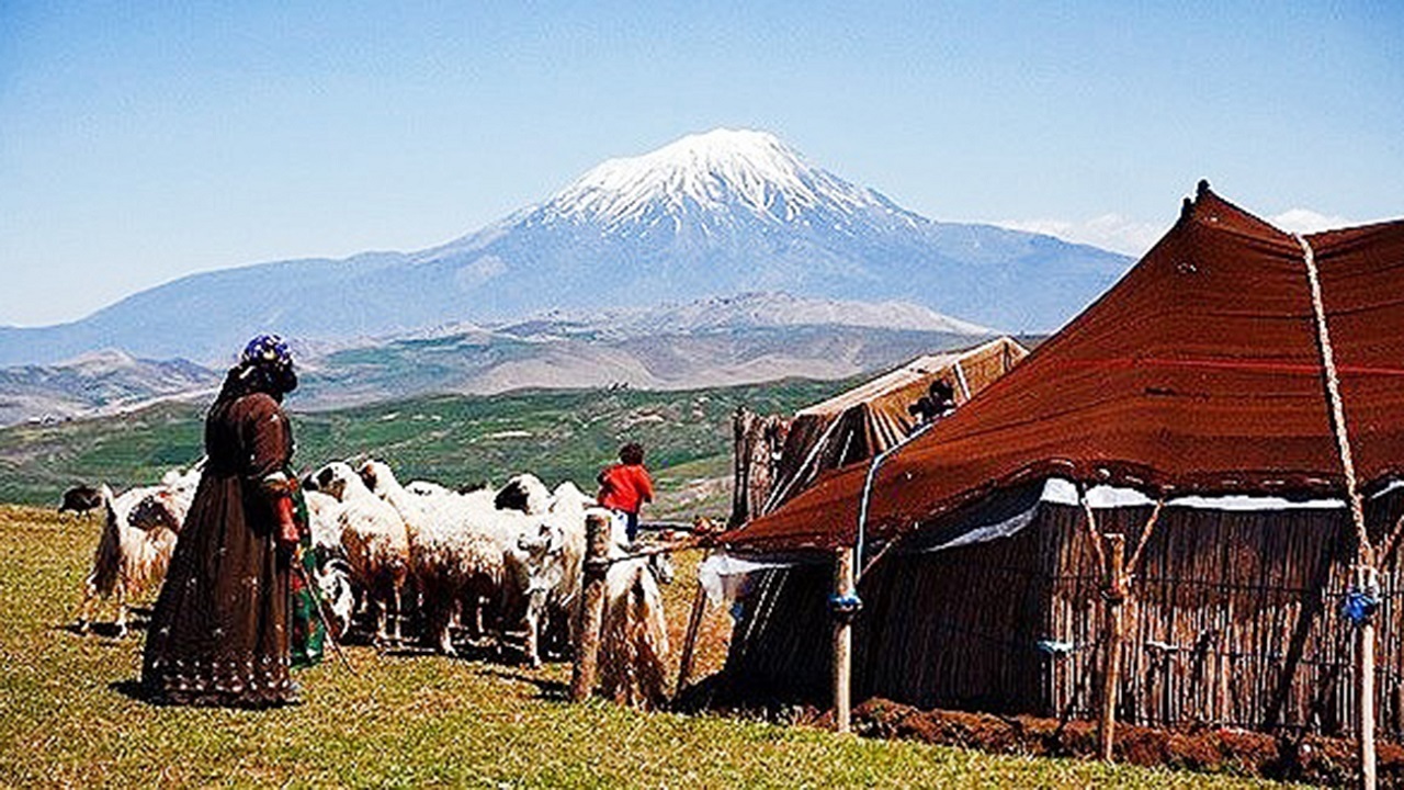 یک چهارم تولیدات پروتئینی عشایر کشور در آذربایجان غربی تولید می شود