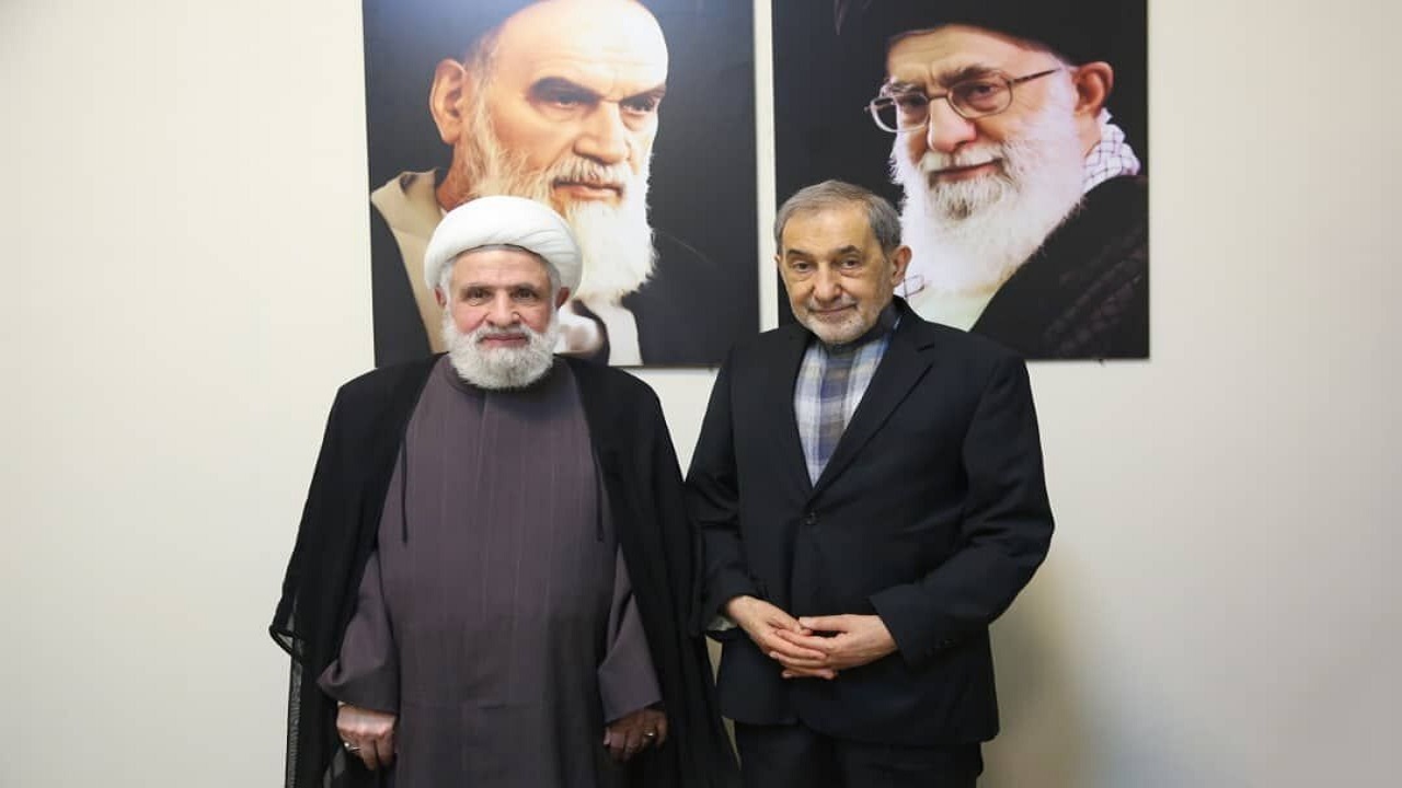 دیدار علی اکبر ولایتی با قائم مقام دبیرکل حزب الله لبنان