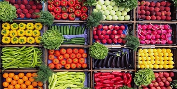 افزایش ۵۰ درصدی صادرات پیاز غیرکارشناسی است