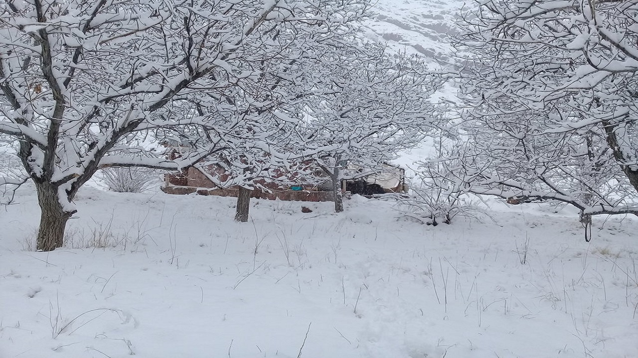 جلوه گری زمستان در کشور با بارش برف + تصاویر