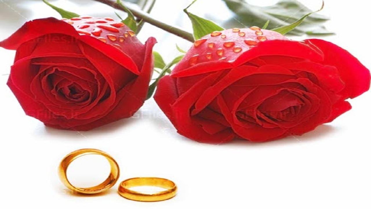 ۱۵ هزار مجرد در ادارات آذربایجان‌شرقی مشغول به کار هستند