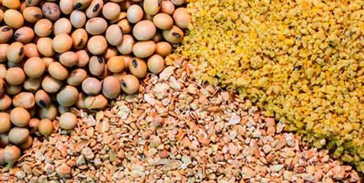 ۲۹ هزارتن خوراک آبزیان صادر شد
