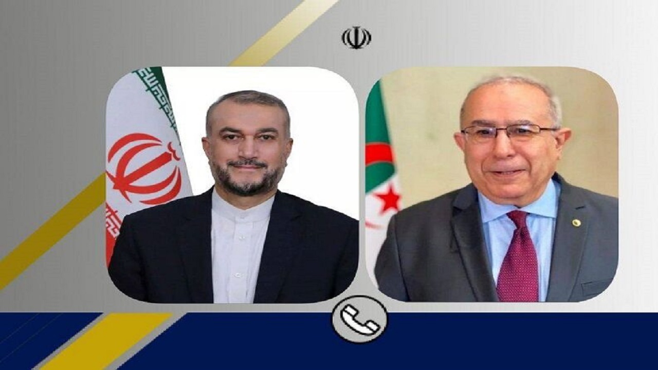 ضرورت تقویت همکاری میان کشور‌های اسلامی در مجامع بین المللی