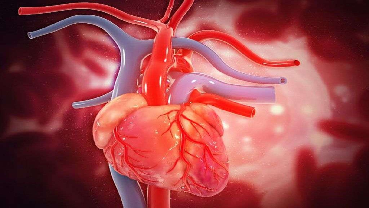 علائم بیماری نارسایی قلبی چیست؟
