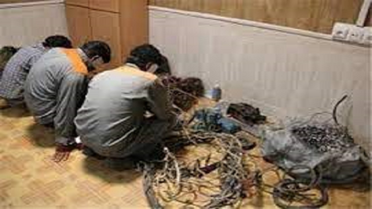 متلاشی شدن باند سارقان کابل‌های مخابراتی در کاشان