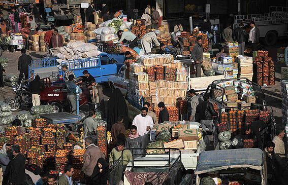 موز ارزان می شود