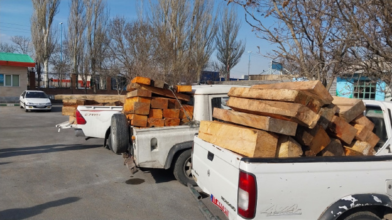 کشف ۷۰ اصله الوار قاچاق جنگلی در استان اردبیل