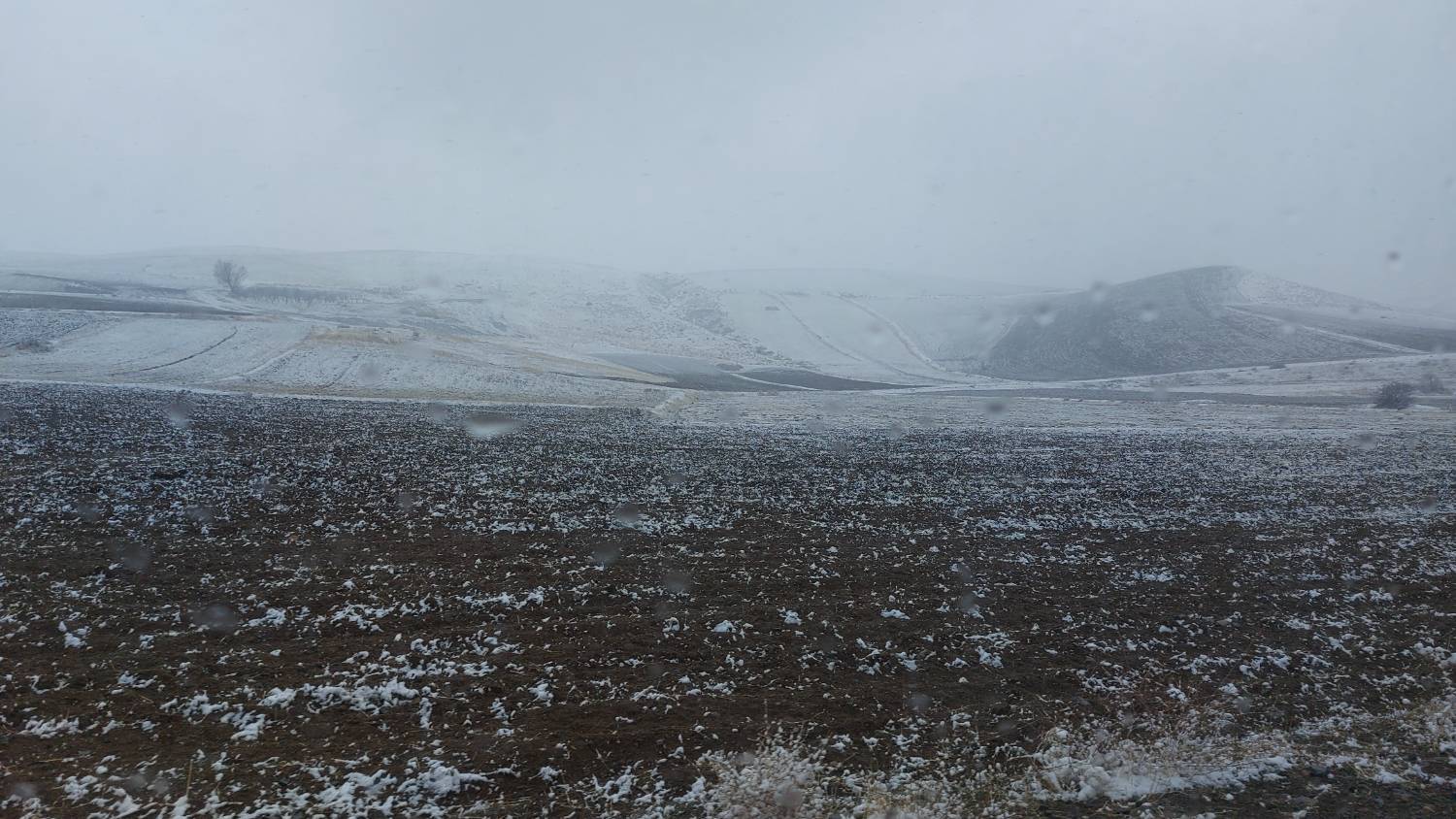 شرستان اهر