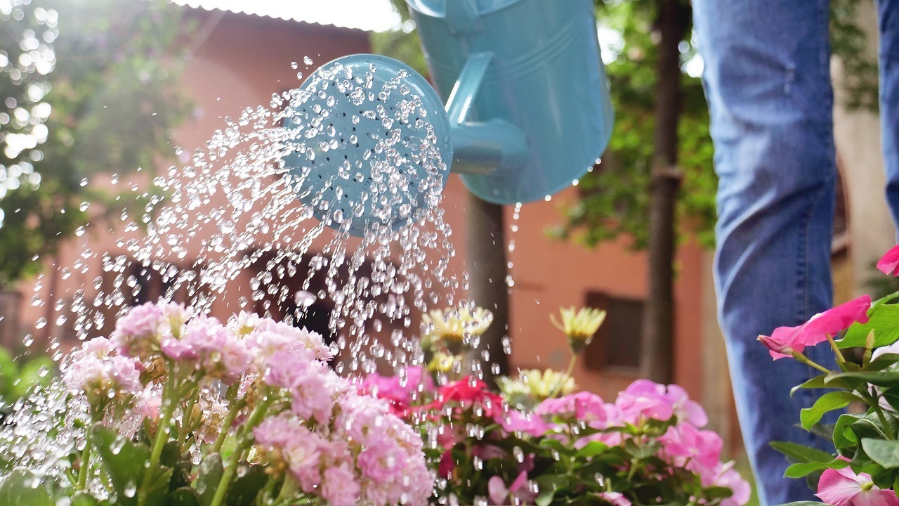 باغبان&zwnj;ها کمتر به سرطان مبتلا می&zwnj;شوند