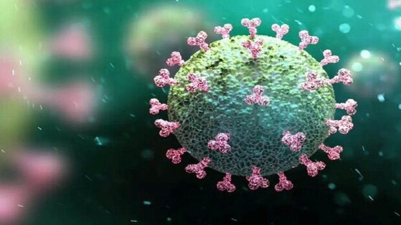 ویروس کرونا سیستم ایمنی بدن را تغییر می‌دهد