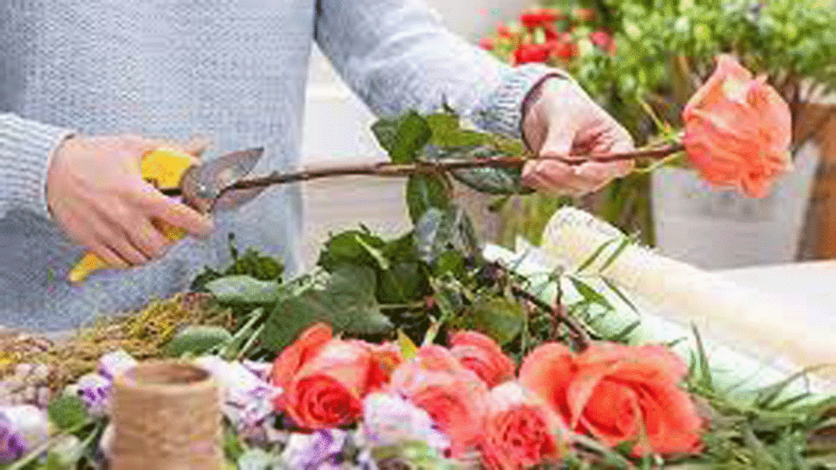 رایحه عود چگونه درست می‌شود؟ + فیلم