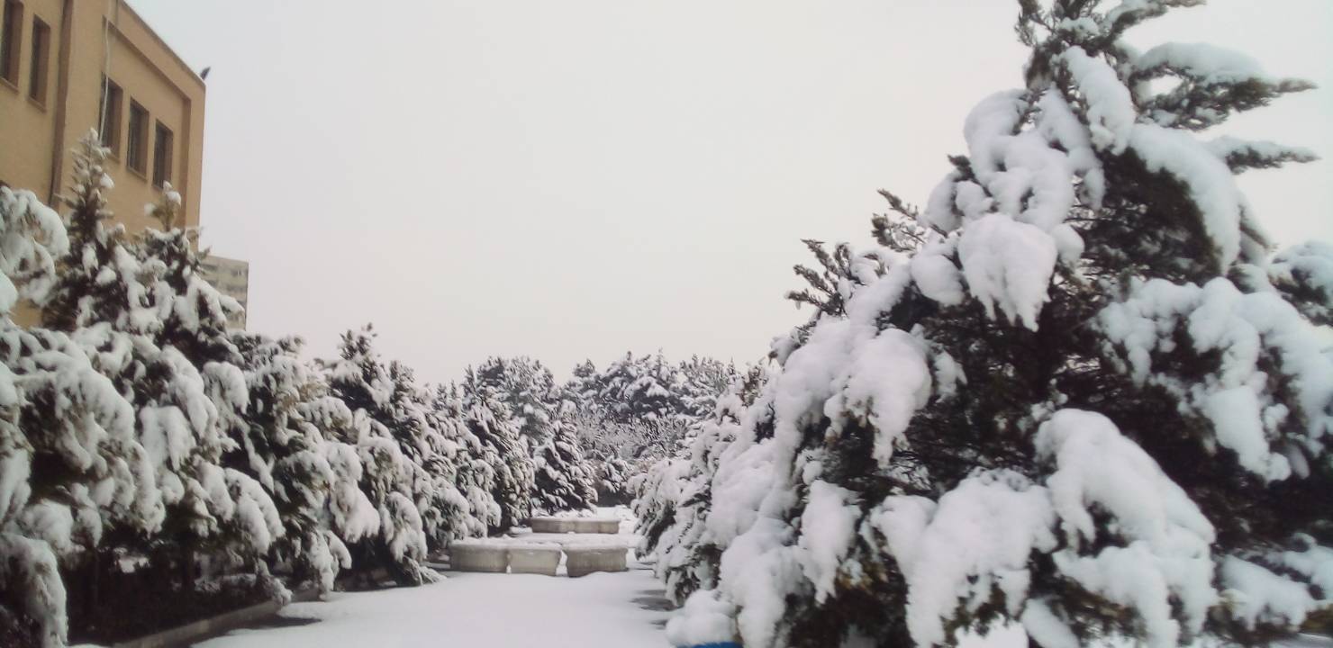 رخ نمایی زمستان با بارش برف + فیلم و تصاویر