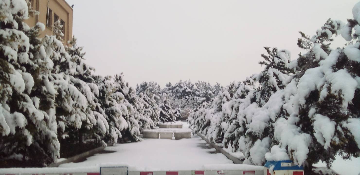 رخ نمایی زمستان با بارش برف + فیلم و تصاویر
