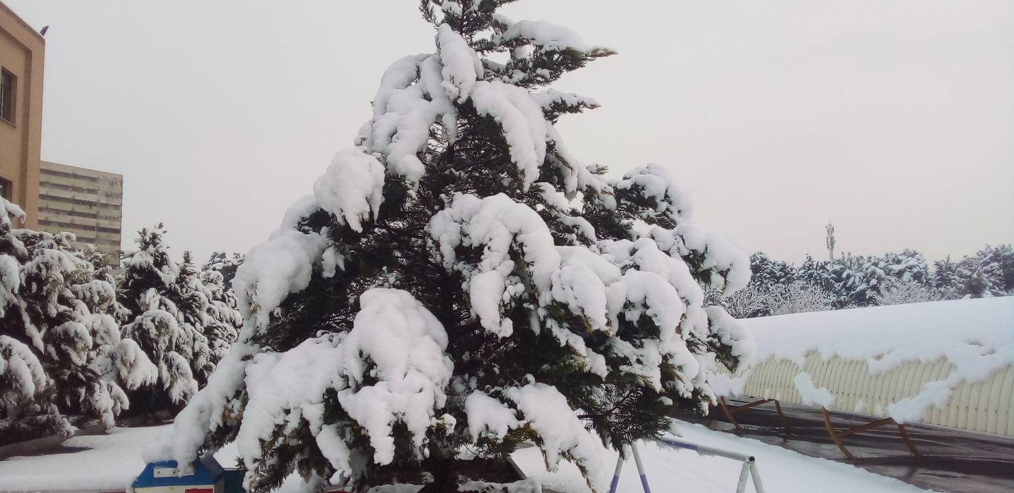 رخ نمایی زمستان با بارش برف + فیلم و تصاویر