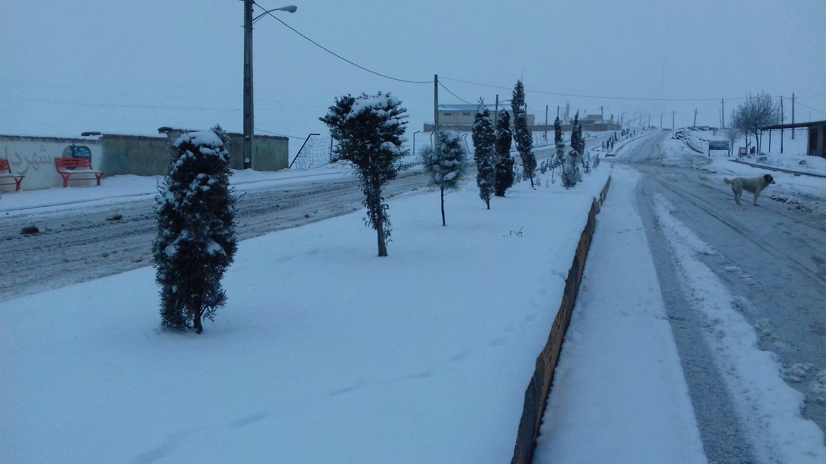 رخ نمایی زمستان با بارش برف + فیلم و تصاویر