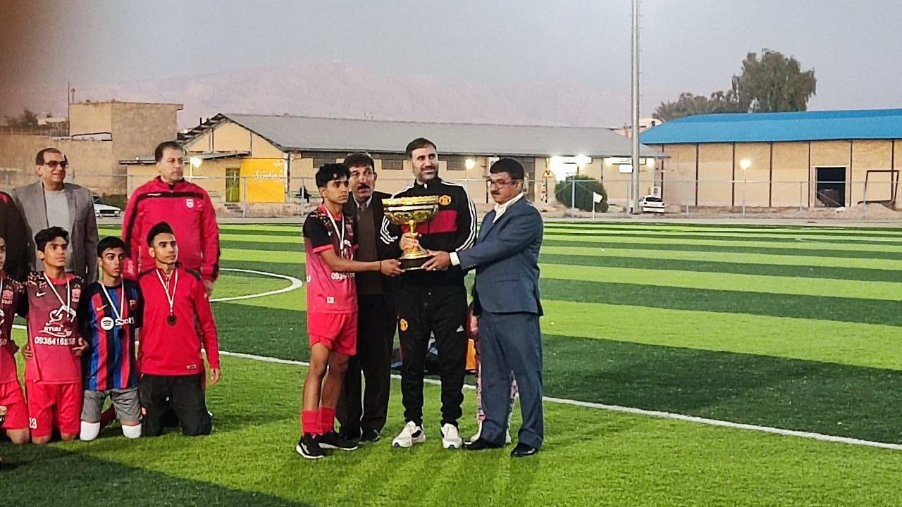 شهرستان لارستان