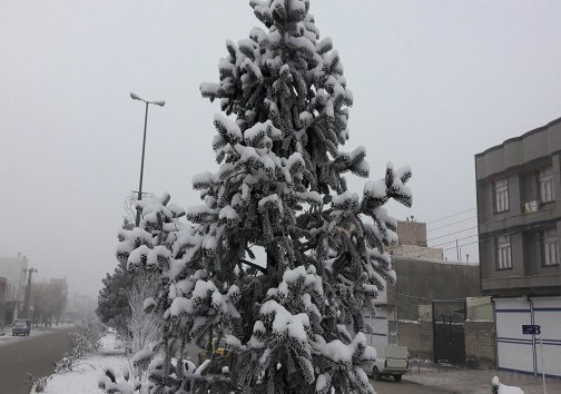 چالدران با ۱۵ درجه زیر صفر سردترین شهر آذربایجان غربی+عکس