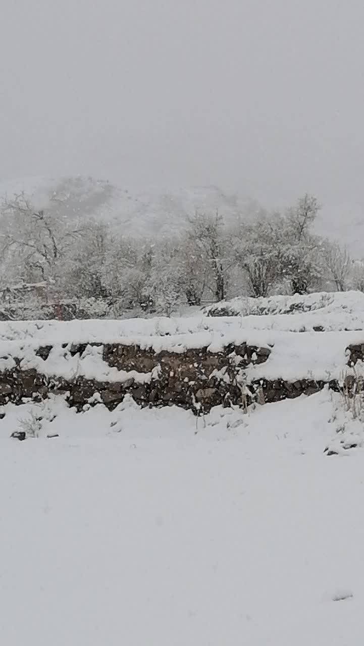 روستای طرز