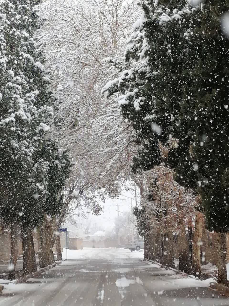 روستای طرز