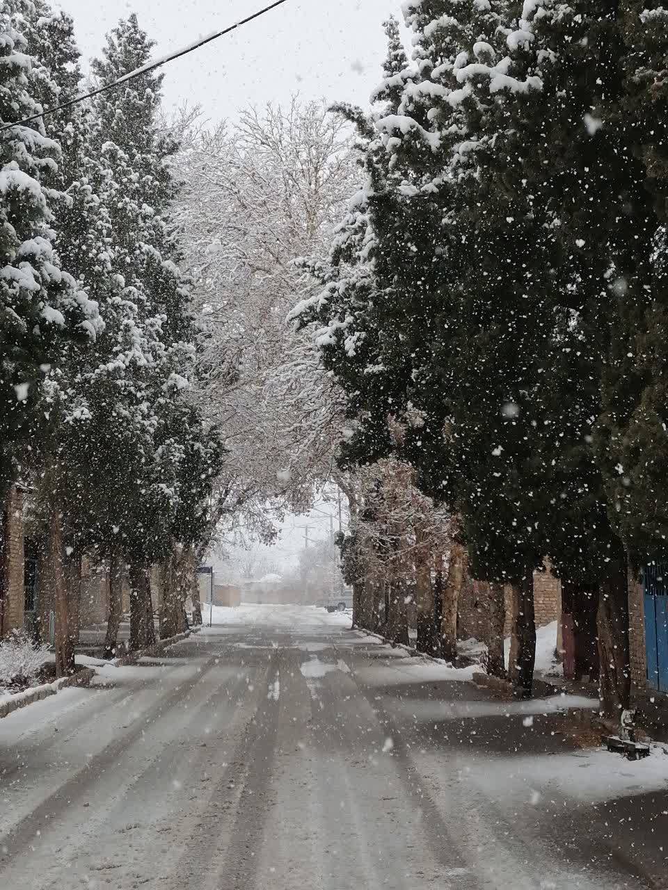 روستای طرز