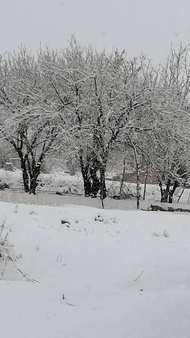 روستای طرز