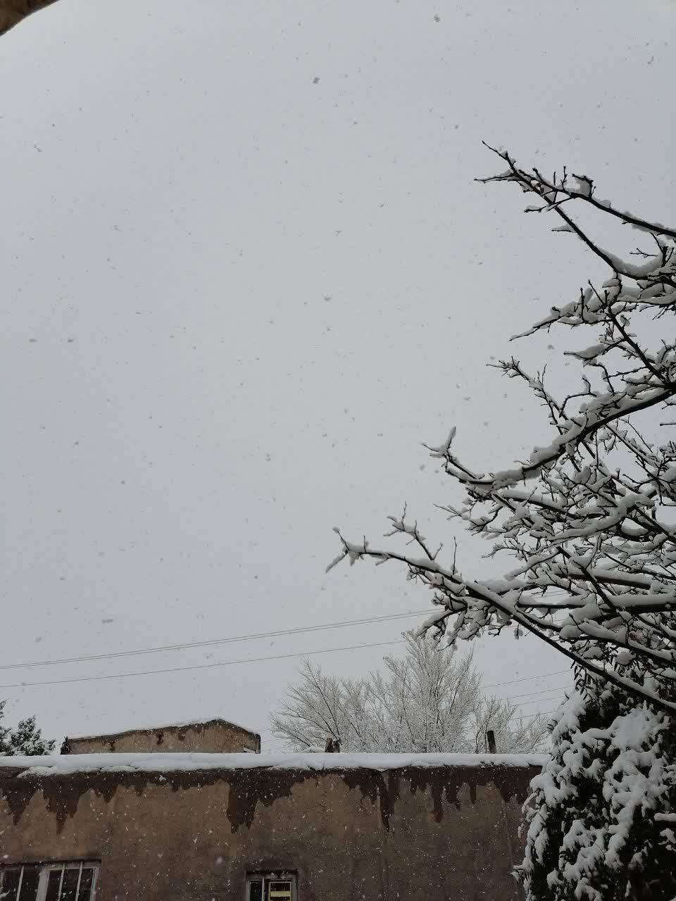 روستای طرز