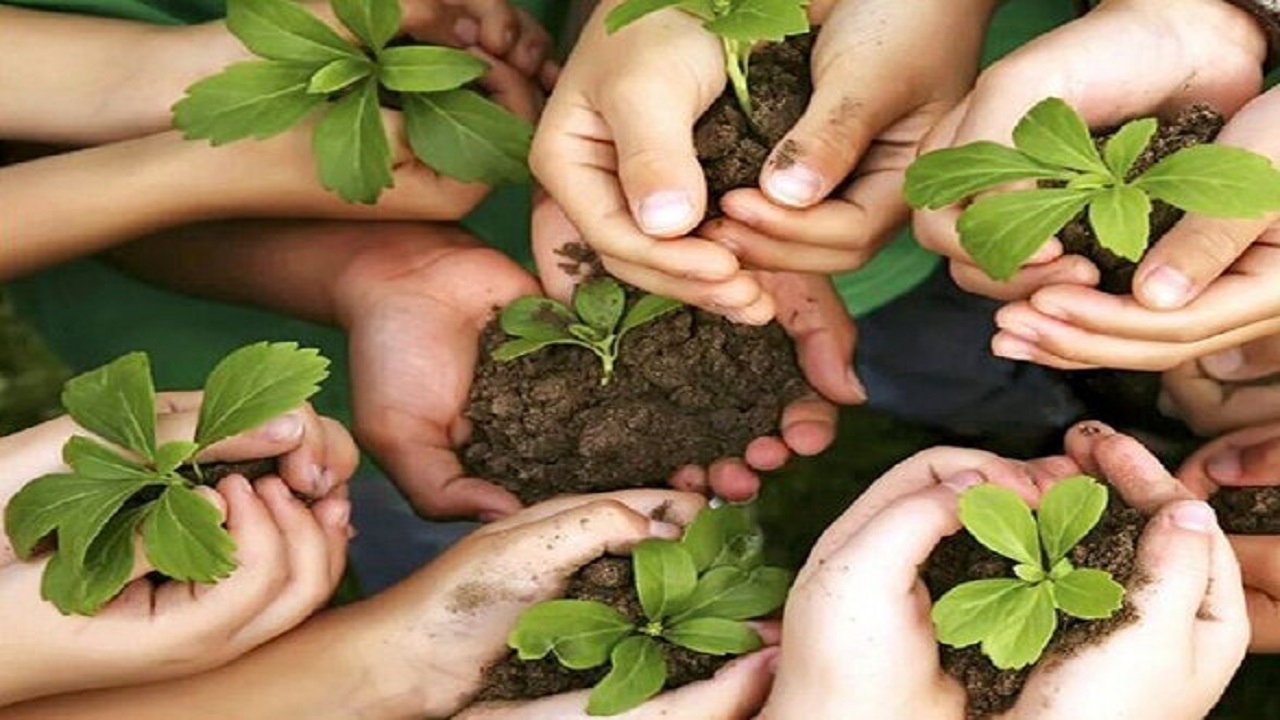 صدور ۱۵۰ کارت «همیار طبیعت» برای دانش‌آموزان و معلمان گرمساری