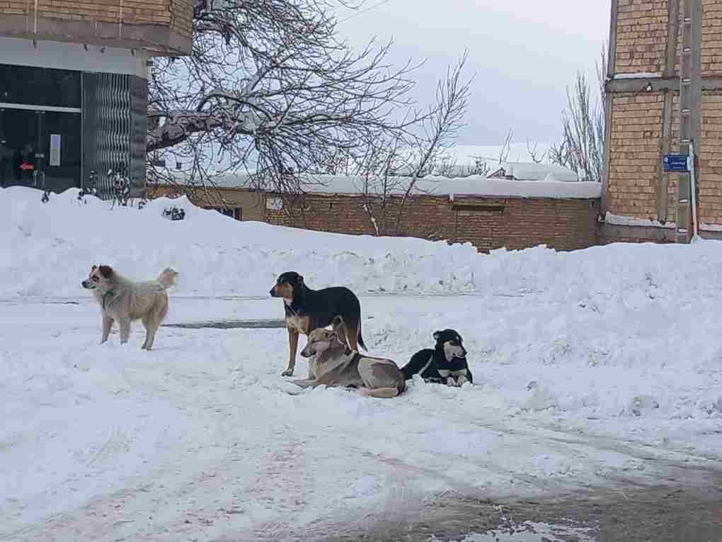 سمیرم