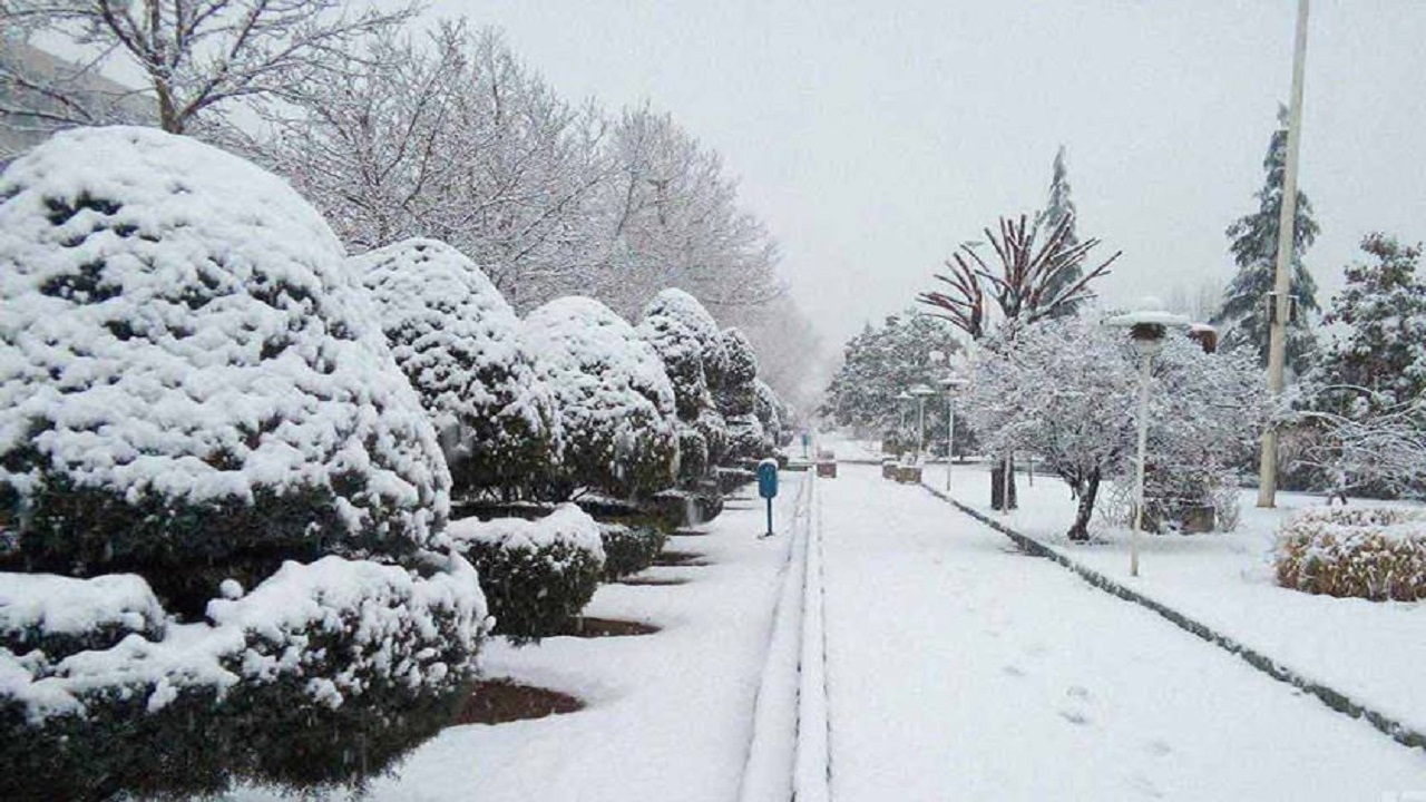 تیوب سواری چند جوان در خیابان + فیلم