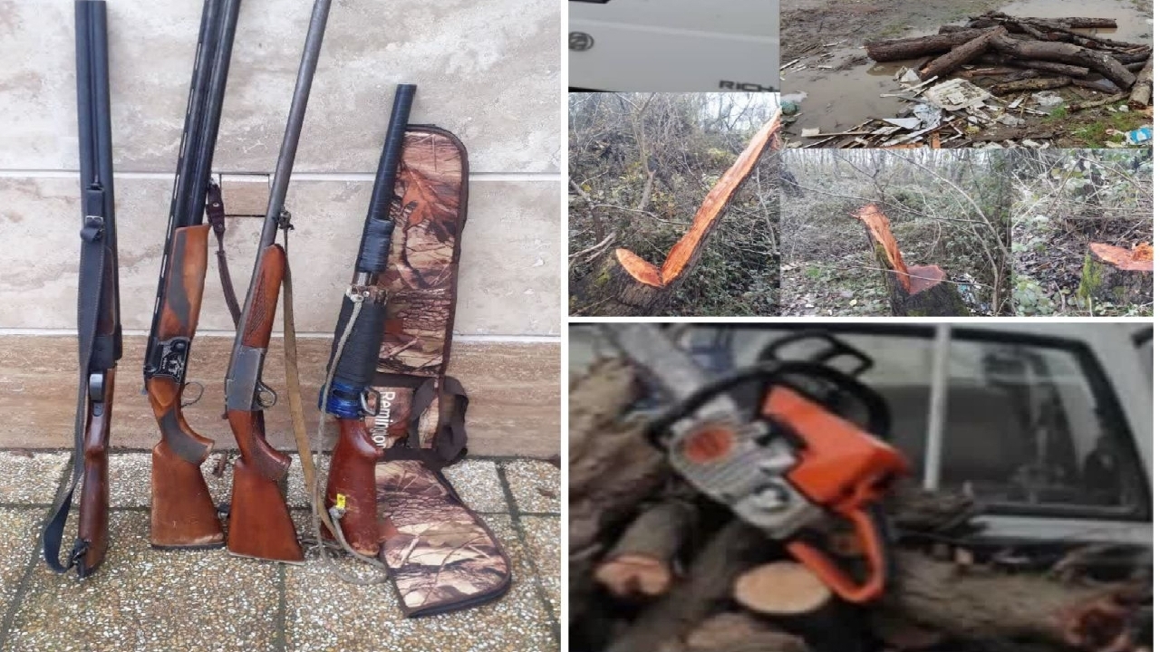 کشف و ضبط اسلحه شکاری از قاچاقچی چوب در پارک ملی بوجاق