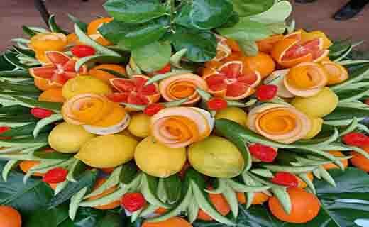 جشنواره ملی مرکبات در جیرفت از دریچه دوربین