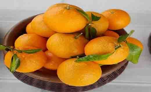 جشنواره ملی مرکبات در جیرفت از دریچه دوربین