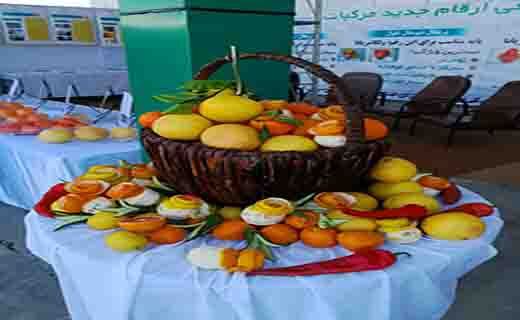 جشنواره ملی مرکبات در جیرفت از دریچه دوربین