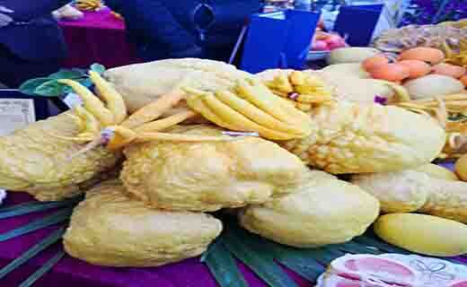 جشنواره ملی مرکبات در جیرفت از دریچه دوربین