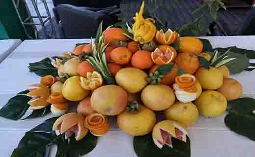 جشنواره ملی مرکبات در جیرفت از دریچه دوربین