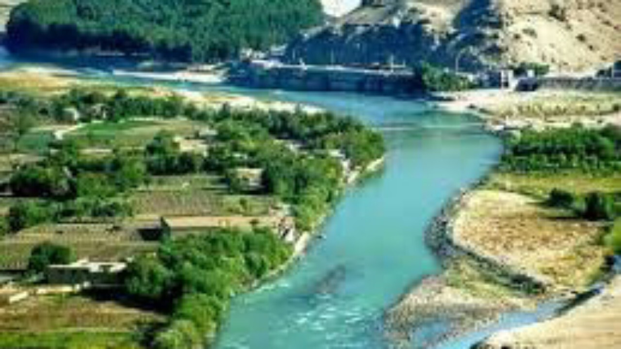 سفر به سروبی برای صرف ماهی + فیلم