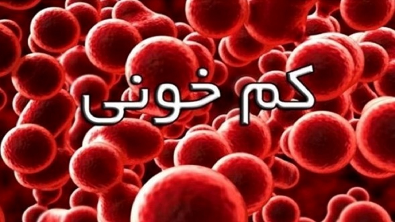 ایلام کمترین شیوع کم خونی کودکان را در میان استان‌های کشور دارد