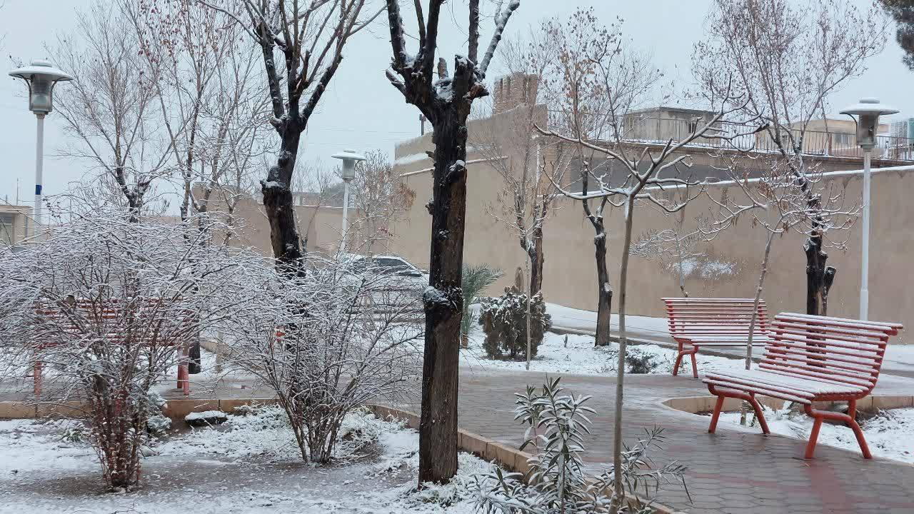 نائین