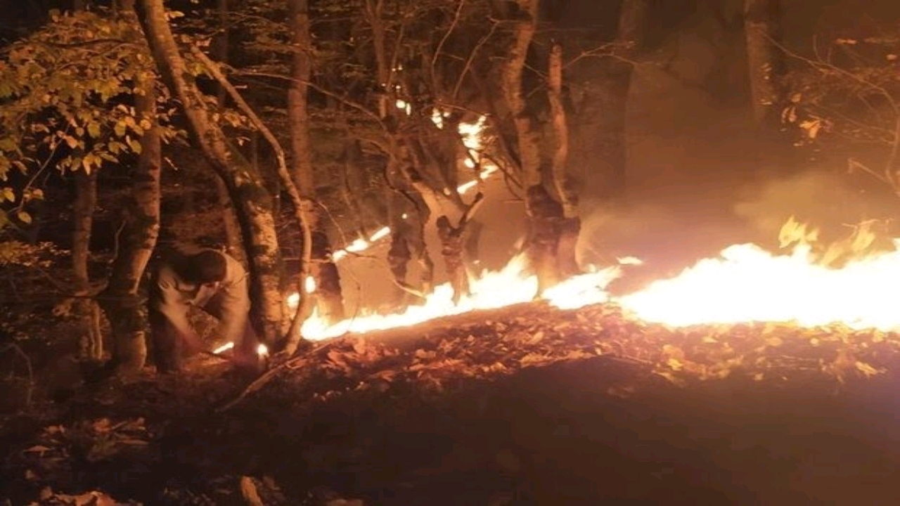 آتش سوزی در محدوده جنگلی شهر قرق اطفا شد
