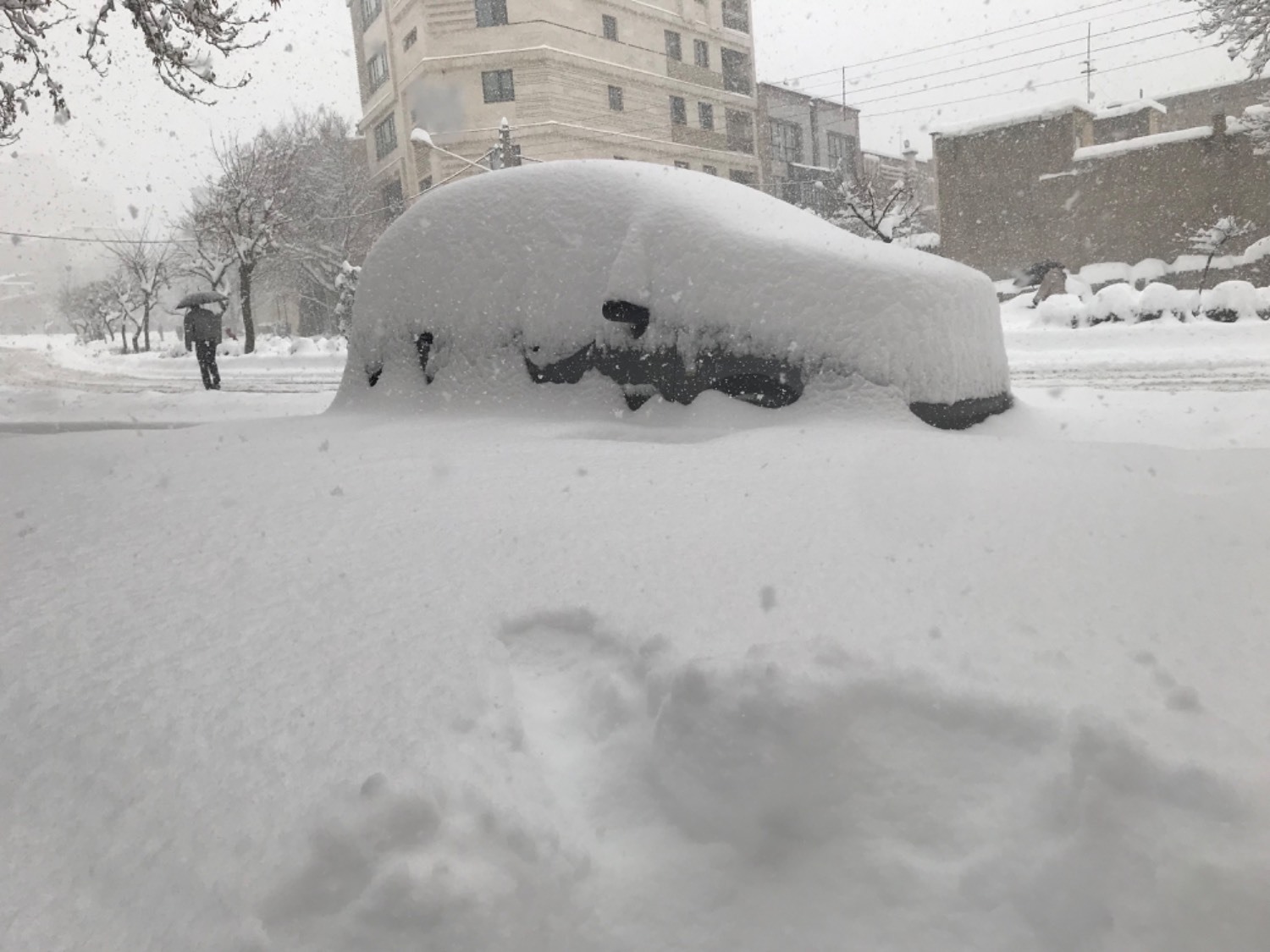 بارش سنگین برف در دیار الوند