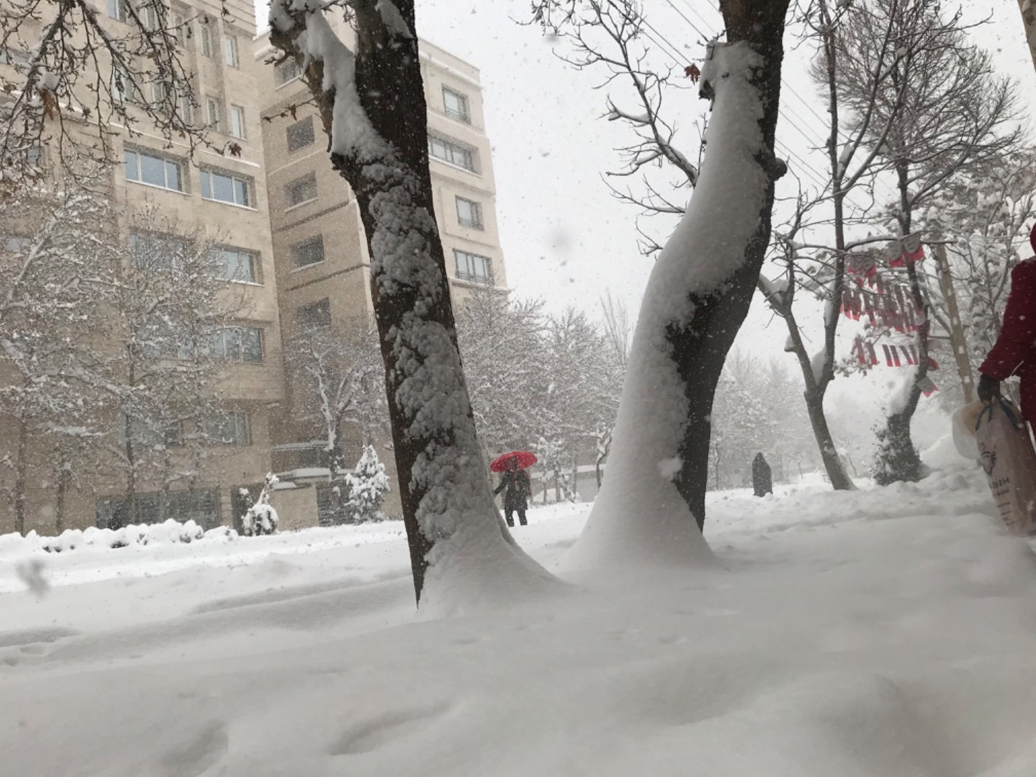 بارش سنگین برف در دیار الوند