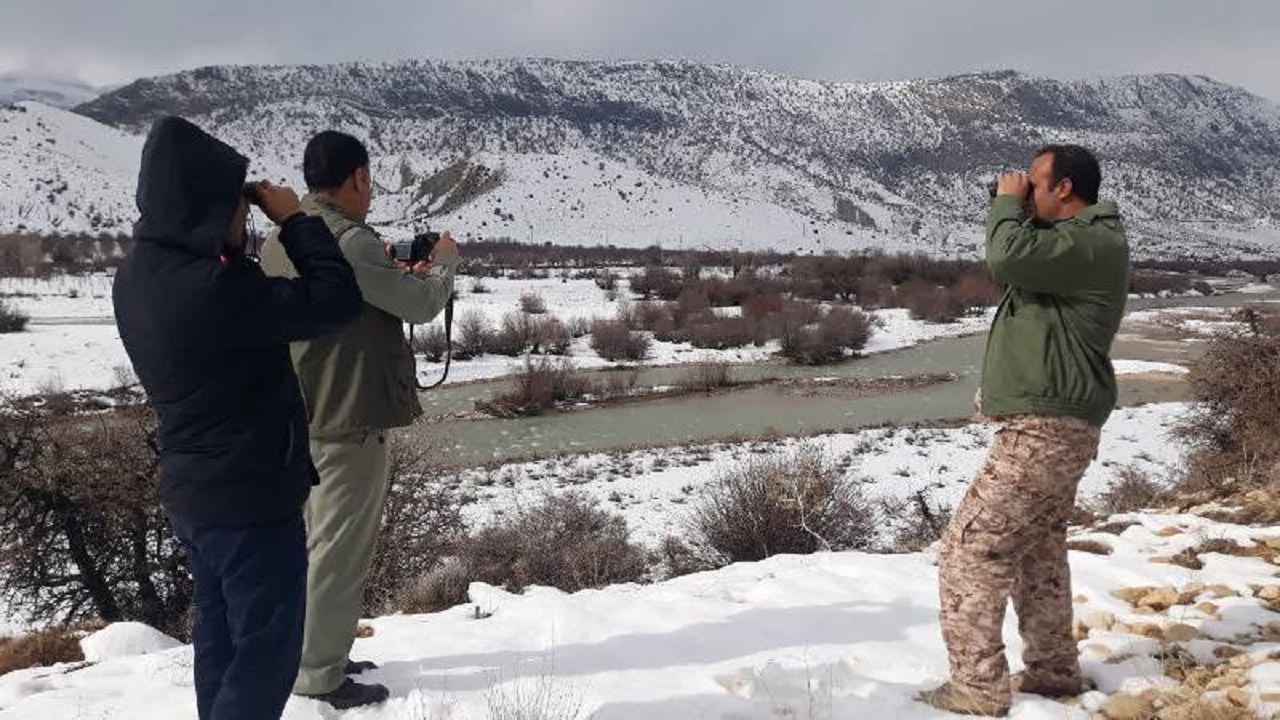 آغاز سرشماری زمستانه پرندگان مهاجر در ۱۷ مکان
