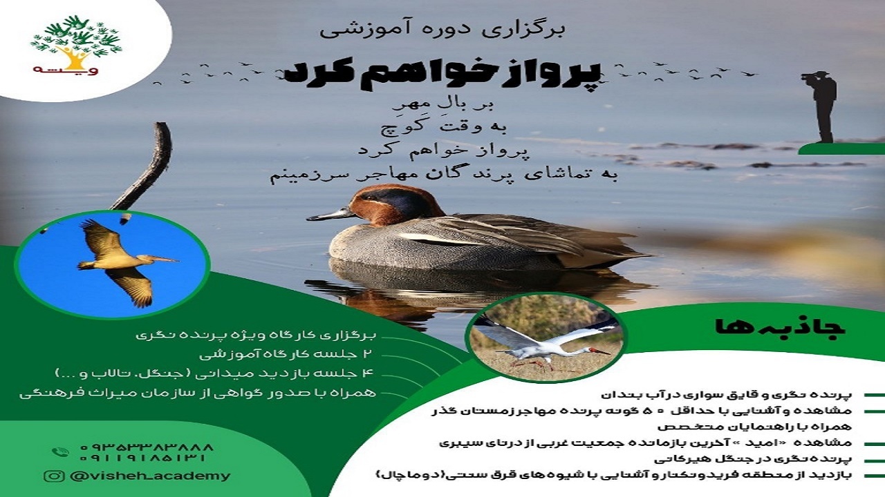 برگزاری کارگاه آموزشی پرنده‌نگری در مازندران