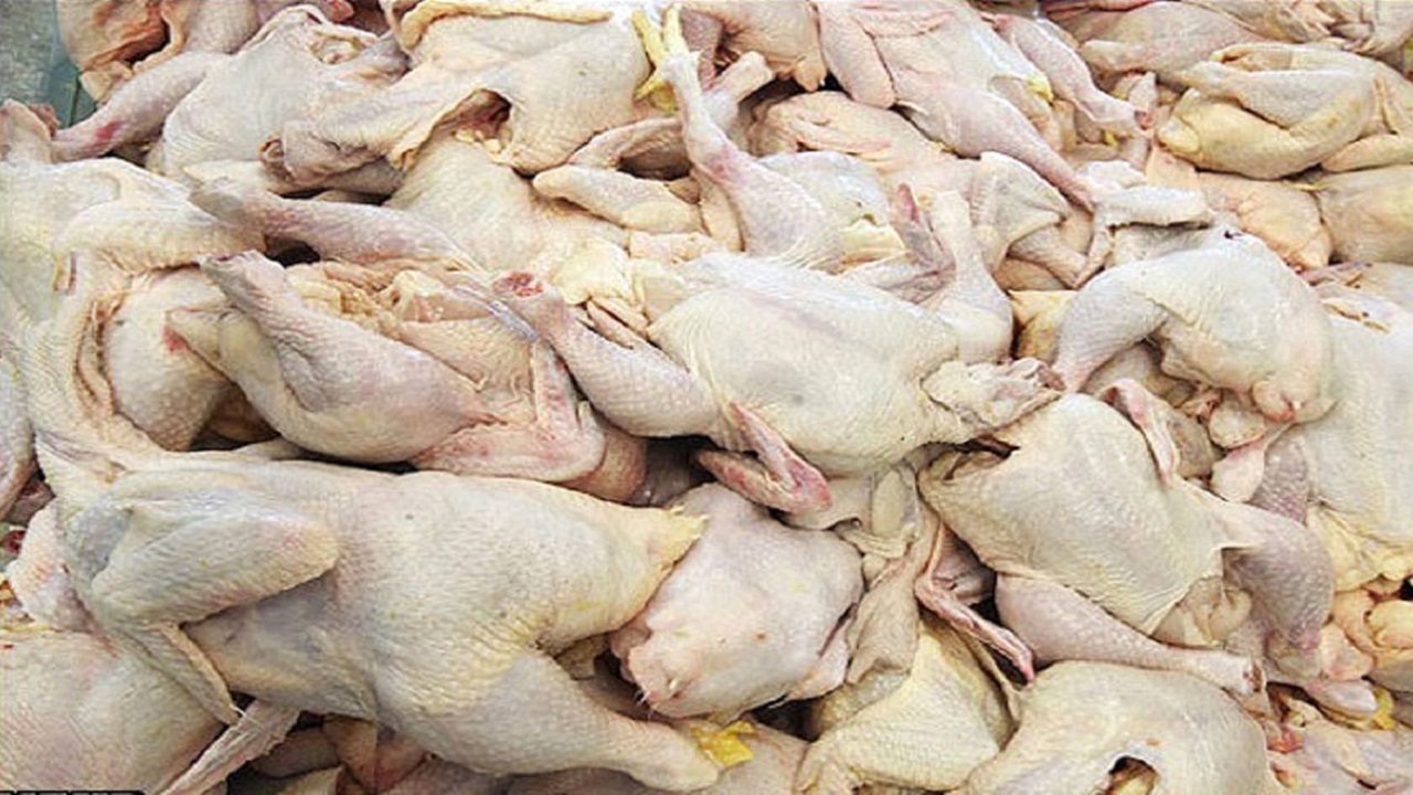 ۷۱۲ تن گوشت مرغ غیرقابل مصرف در گلستان شناسایی شد