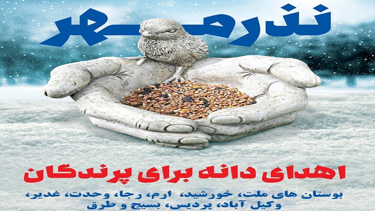 اجرای پویش نذر مهر برای پرندگان شهری در بوستان‌های مشهد