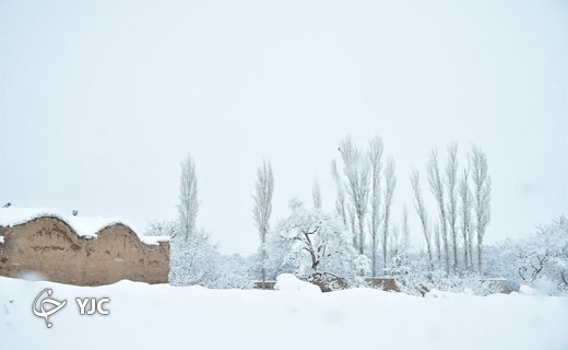 طبیعت زیبای برفی روستای گلویک شهرستان تفت+تصویر