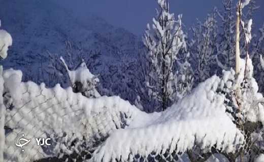 طبیعت زیبای برفی روستای گلویک  و سانیچ در شهرستان تفت+تصویر